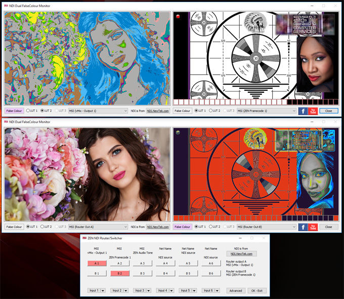 ZEN NDI Dual False Colour video monitor